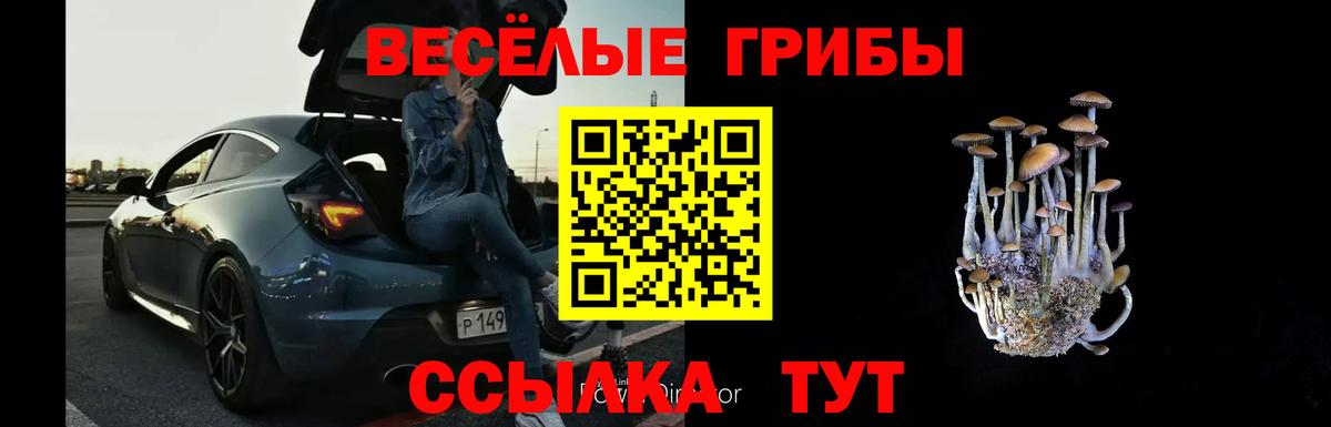 Псилоцибиновые грибы Psilocybine cubensis  Вход с VPN  Асбест 